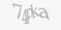Защитный код