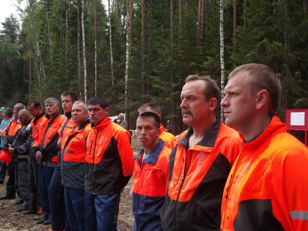 Лесоруб 2016
